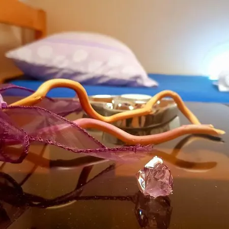 Bicho House Διαμέρισμα Bukovic