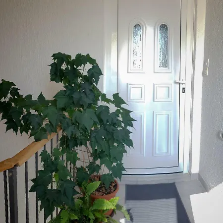 Bicho House Daire