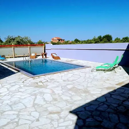 Daire Bicho House