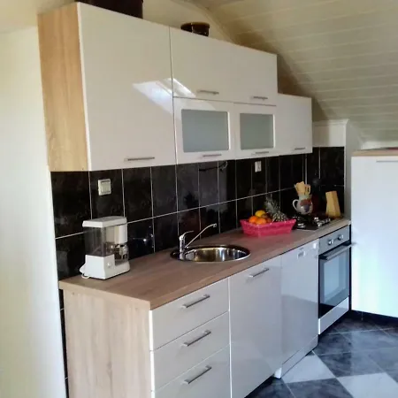 Апартаменты Bicho House