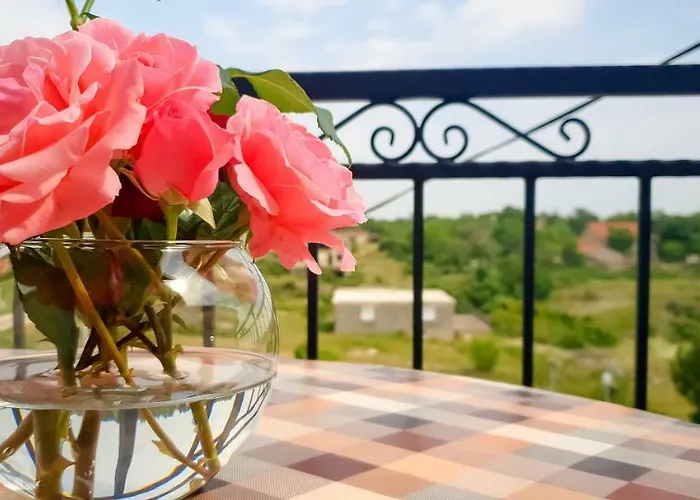 Apartman Bicho House *