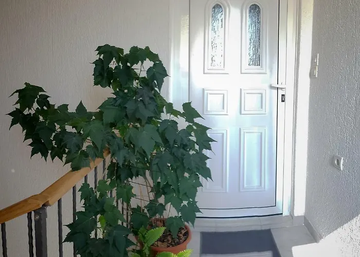 Bicho House Apartman