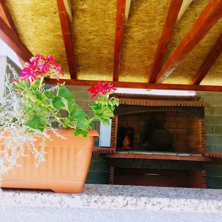 Bicho House
