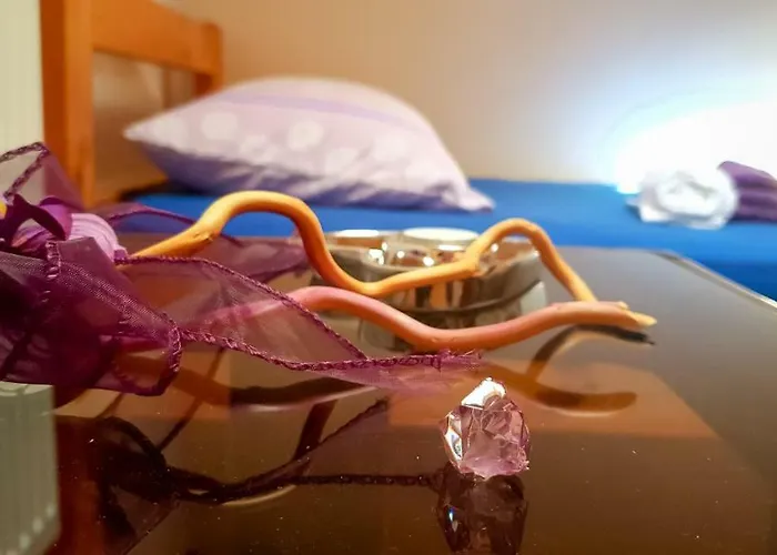 Bicho House Апартаменты Bukovic