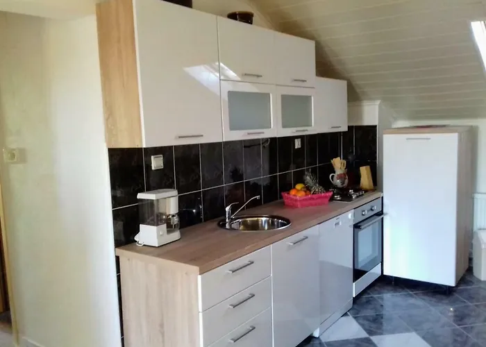 Apartman Bicho House